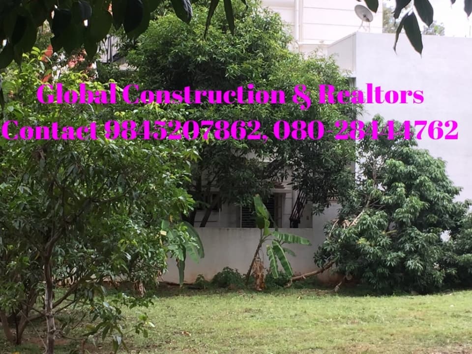 Plot / Site photo 4