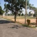 40x60 BDA Site for Sale in Kanakashree Byrathi
