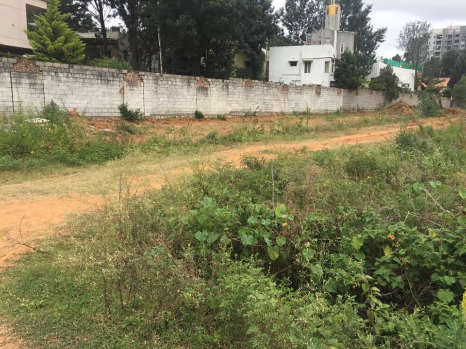Plot / Site photo 3