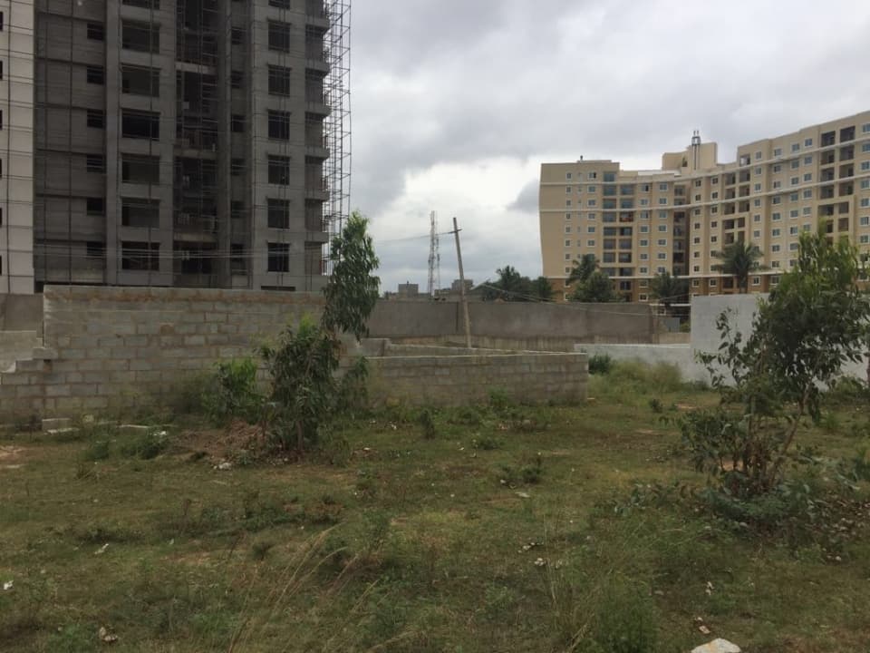 Plot / Site photo 2