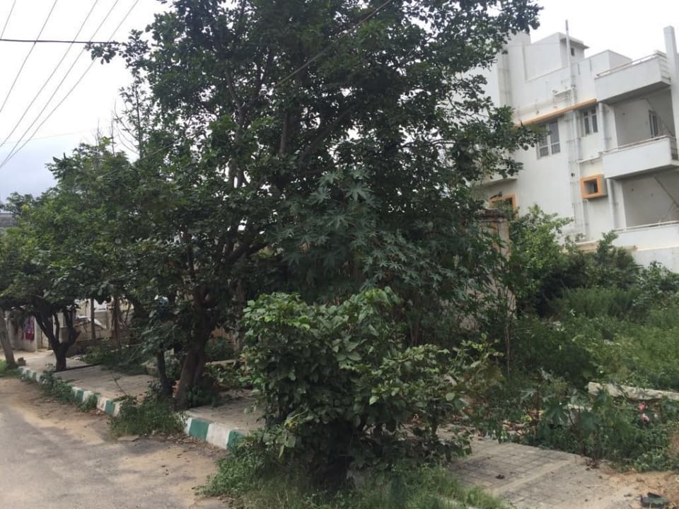 Plot / Site photo 2