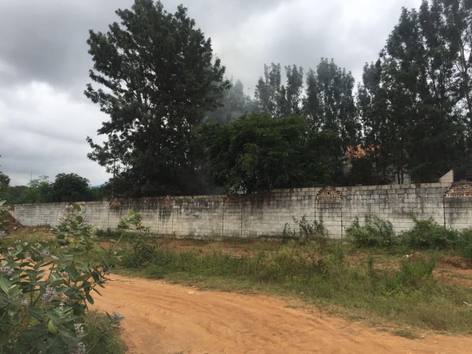 Plot / Site photo 3