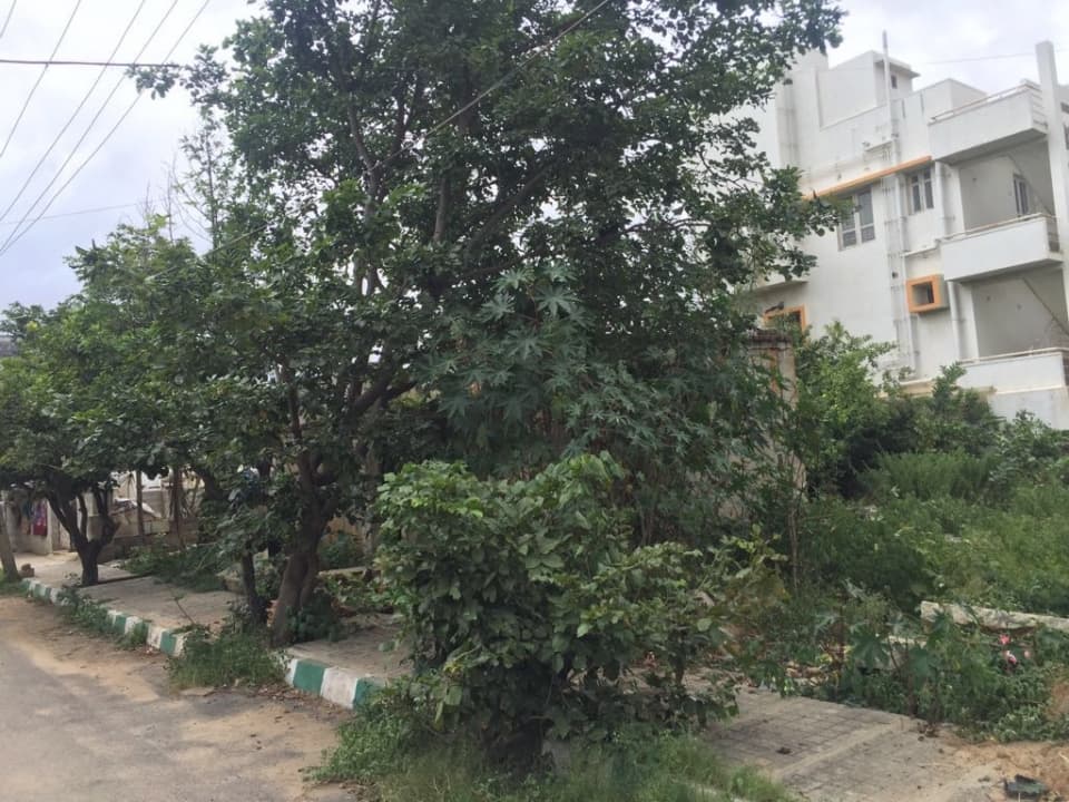 Plot / Site photo 3