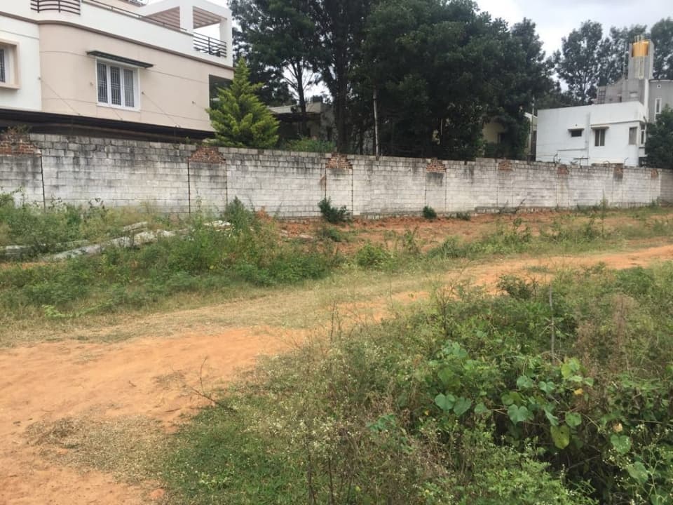 Plot / Site photo 4