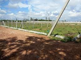 Plot / Site photo 2