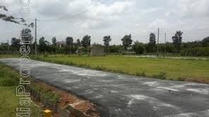 Plot / Site photo 3