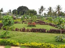 Plot / Site photo 3