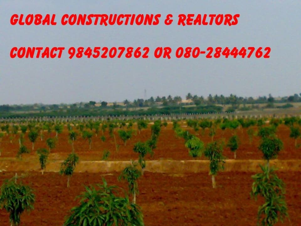 Agricultural Land photo 4