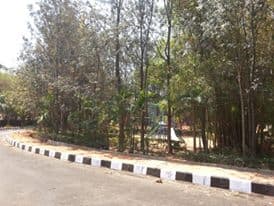 Plot / Site photo 2