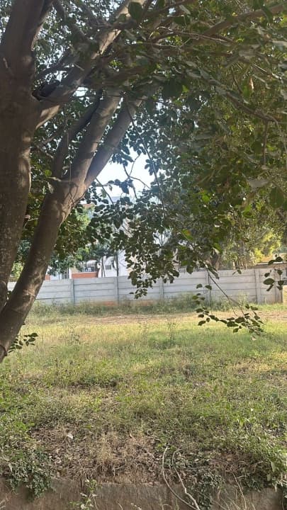 Plot / Site photo 4