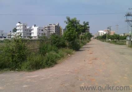 Plot / Site photo 2