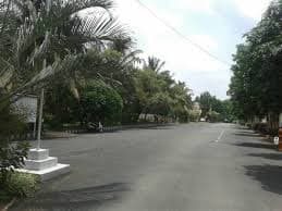Plot / Site photo 4