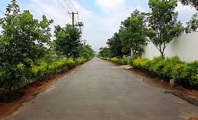 Plot / Site photo 2