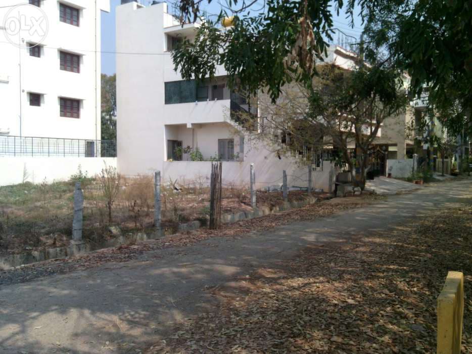 Plot / Site photo 3