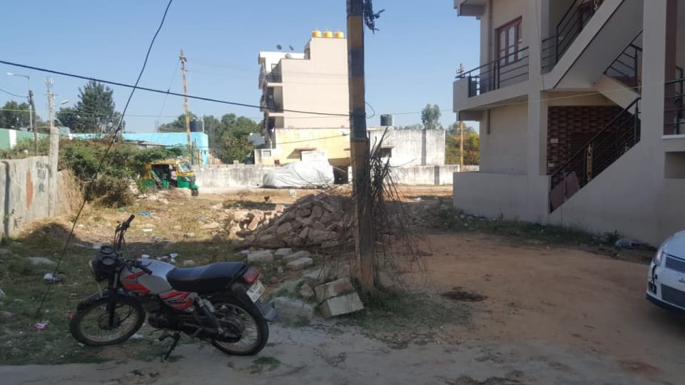 Plot / Site photo 2