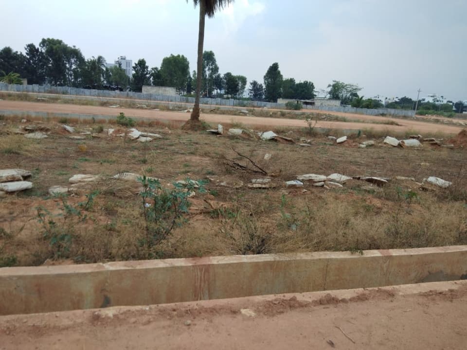Plot / Site photo 3