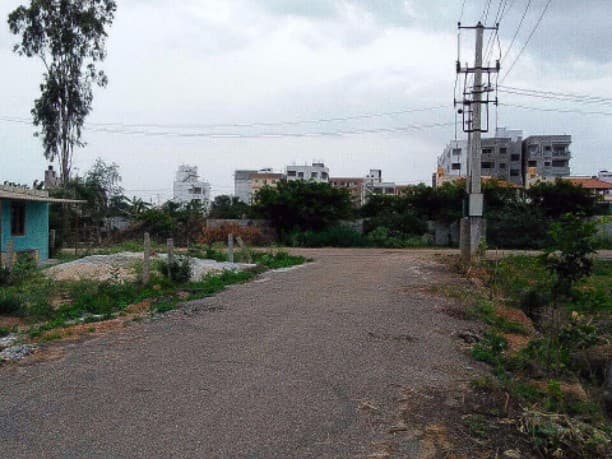 Plot / Site photo 2