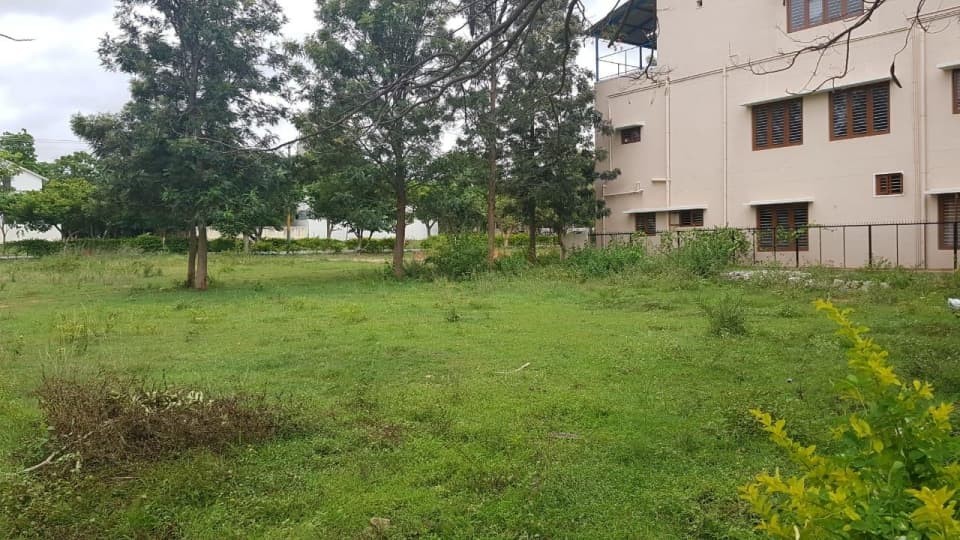 Plot / Site photo 4