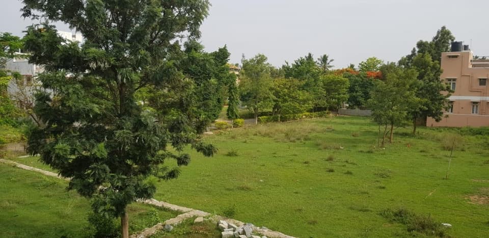 Plot / Site photo 3