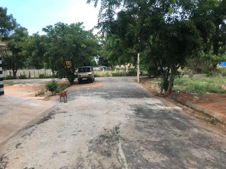 Plot / Site photo 2
