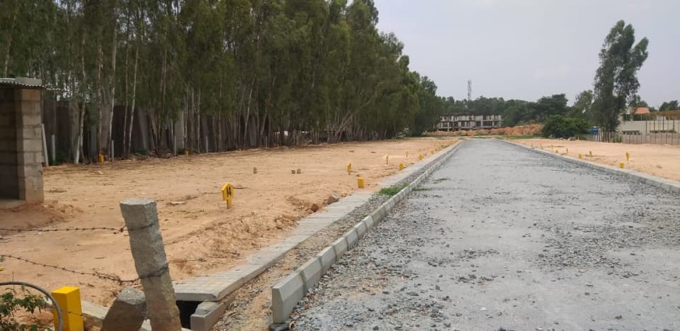 Plot / Site photo 3
