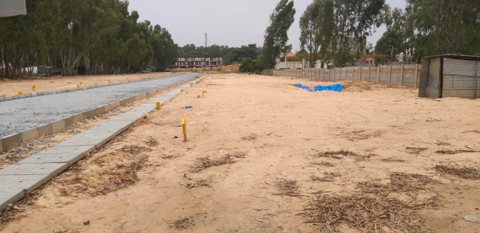 Plot / Site photo 2