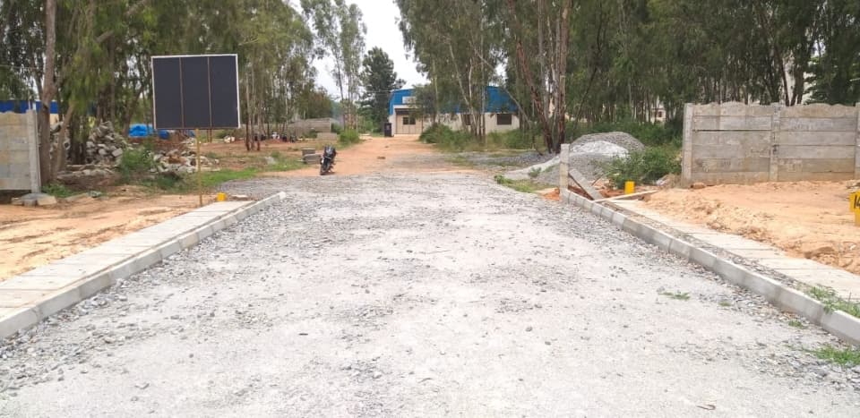 Plot / Site photo 4