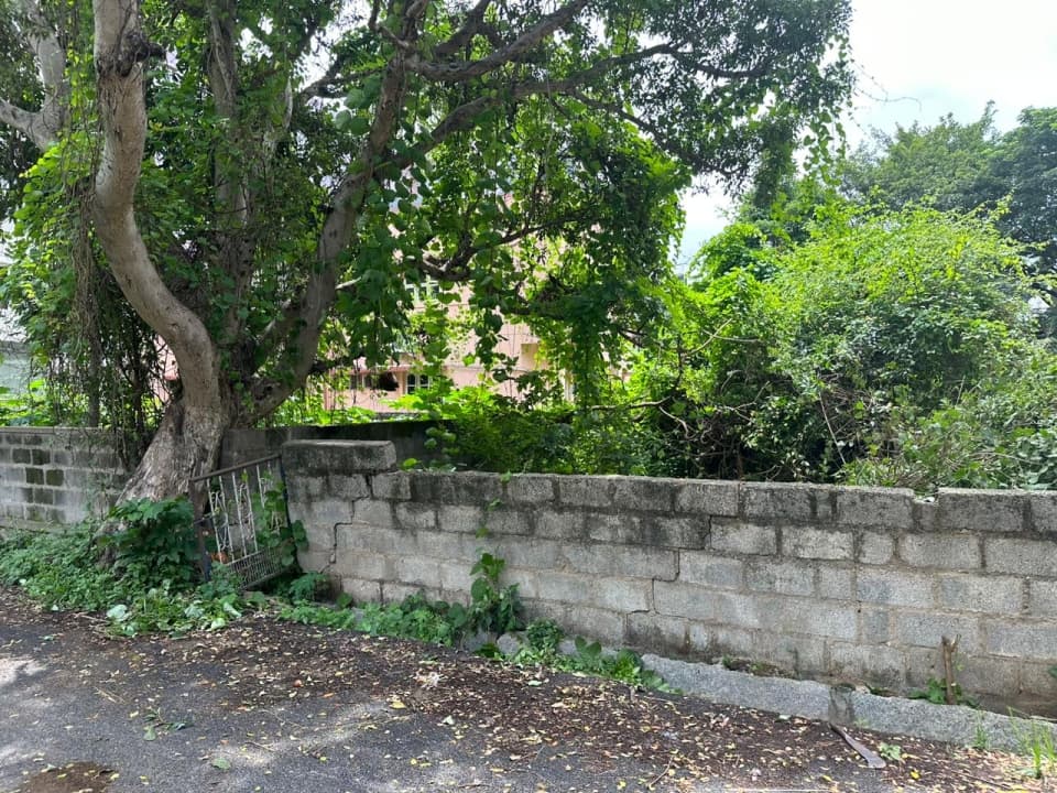 Plot / Site photo 2