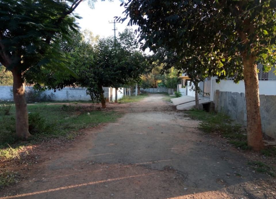 Plot / Site photo 3