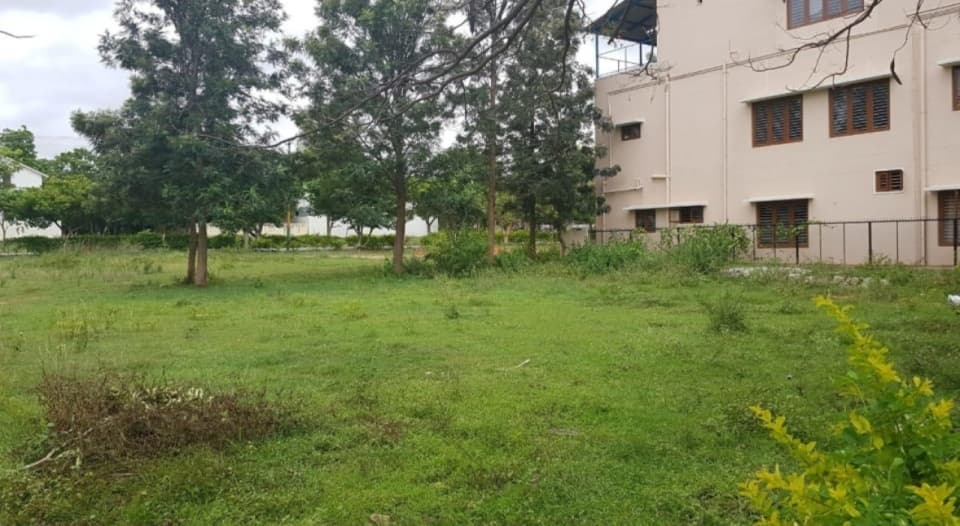 Plot / Site photo 2