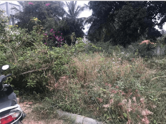 Plot / Site photo 4
