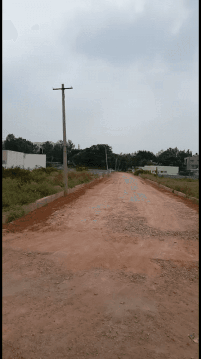 Plot / Site photo 3