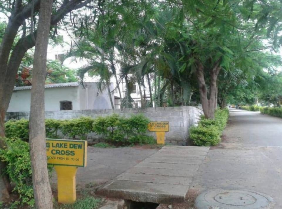 Plot / Site photo 2