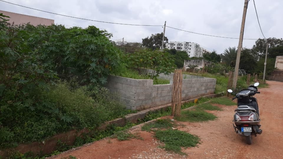 Plot / Site photo 2