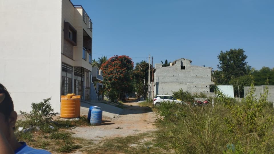 Plot / Site photo 2