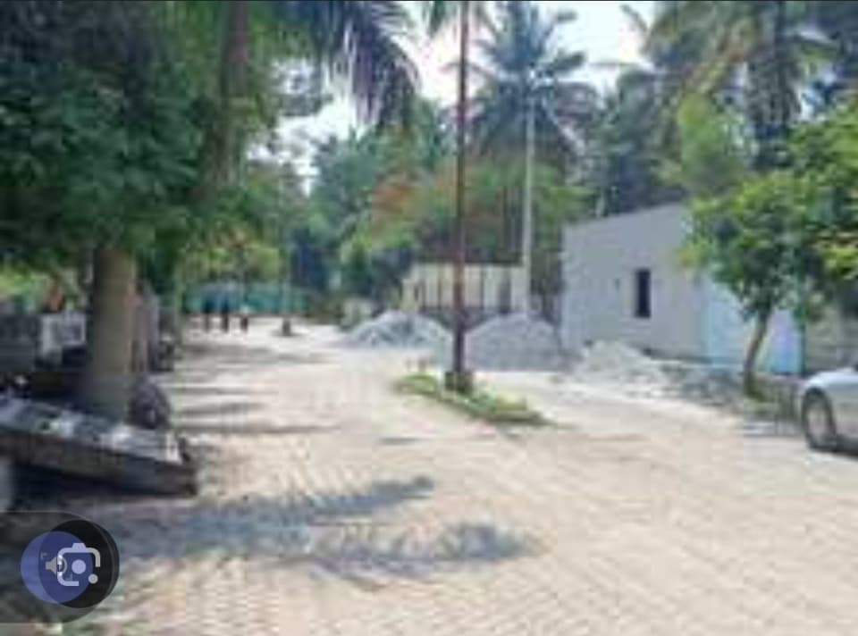 Plot / Site photo 3