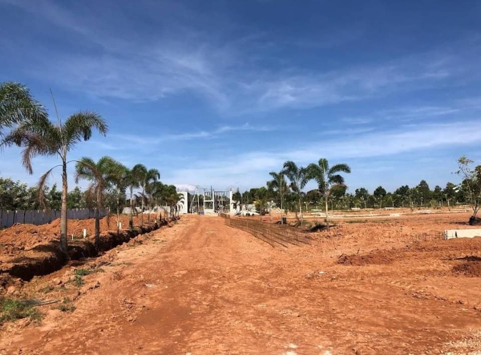 Plot / Site photo 2