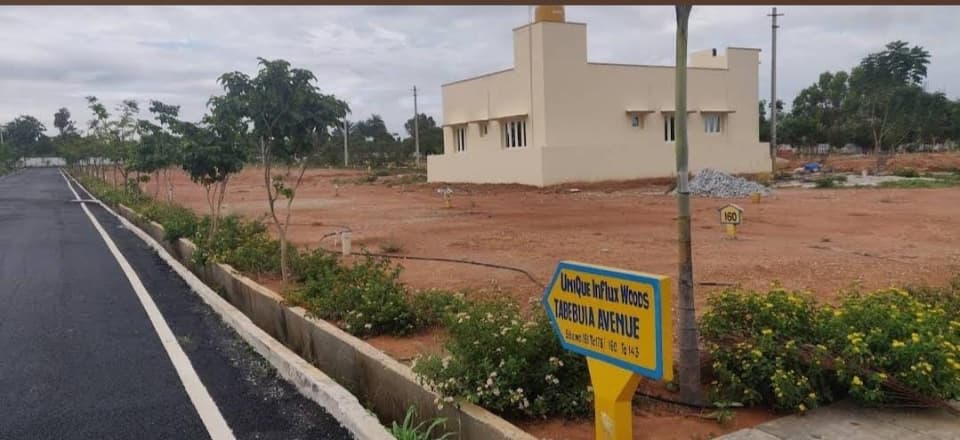 Plot / Site photo 3