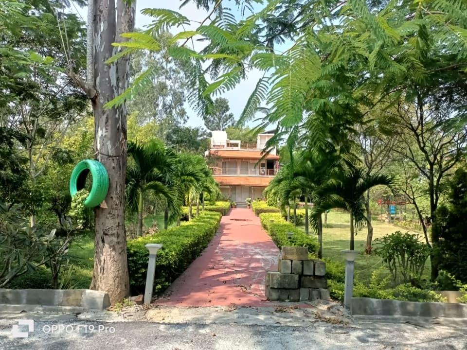 Plot / Site photo 3