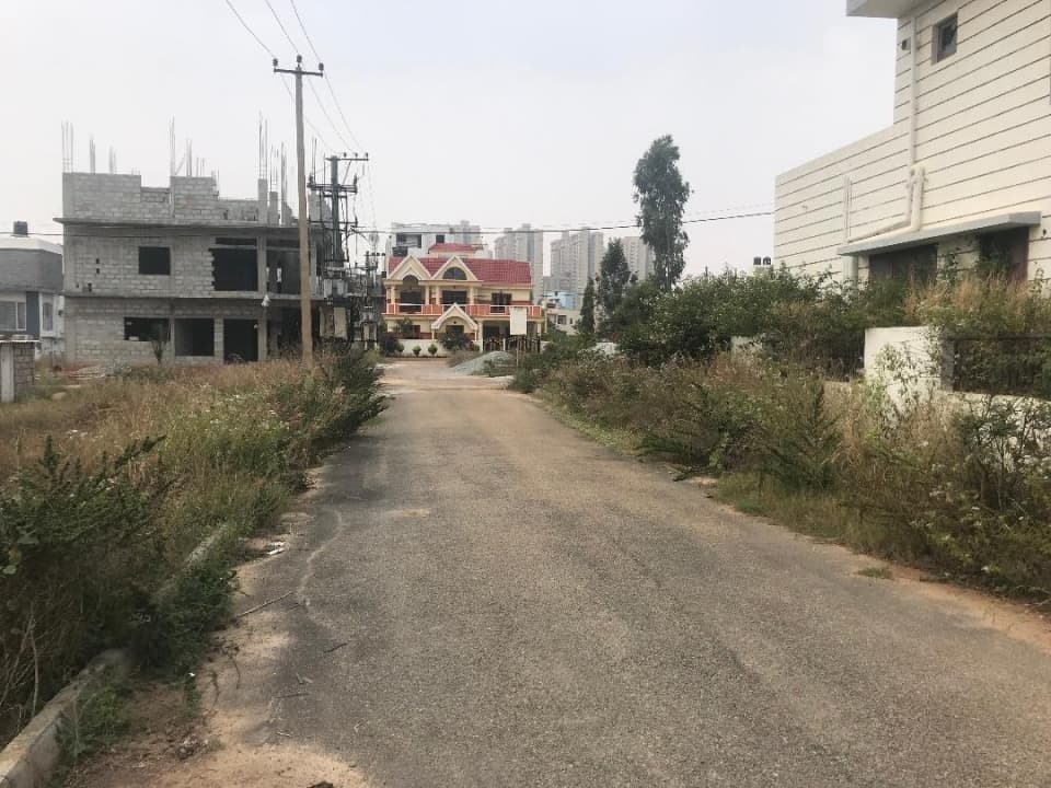 Plot / Site photo 2