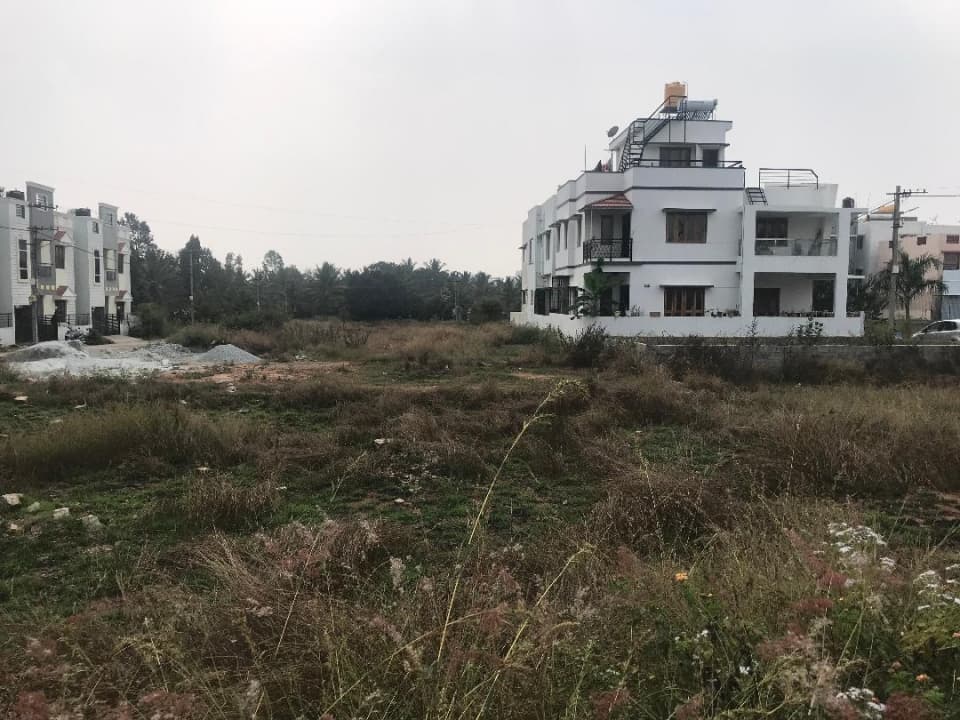 Plot / Site photo 3