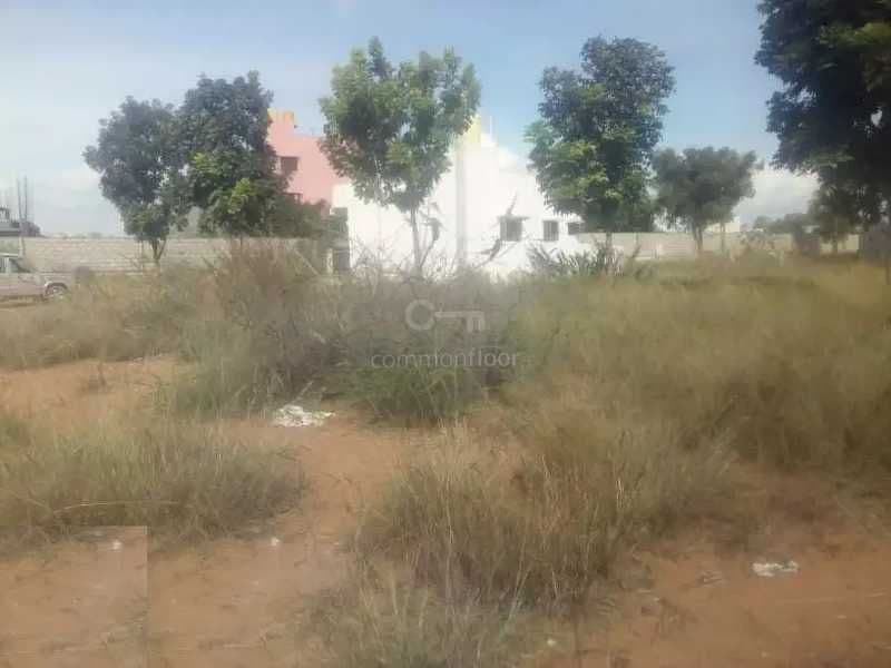 Plot / Site photo 2