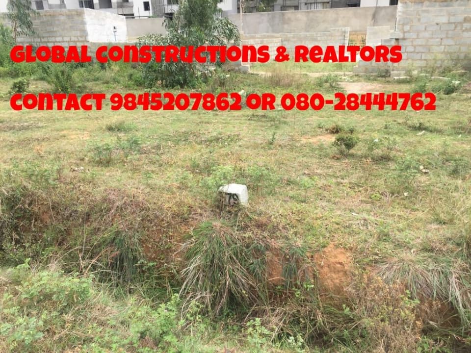 Plot / Site photo 2