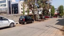Plot / Site photo 3