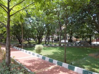 Plot / Site photo 4